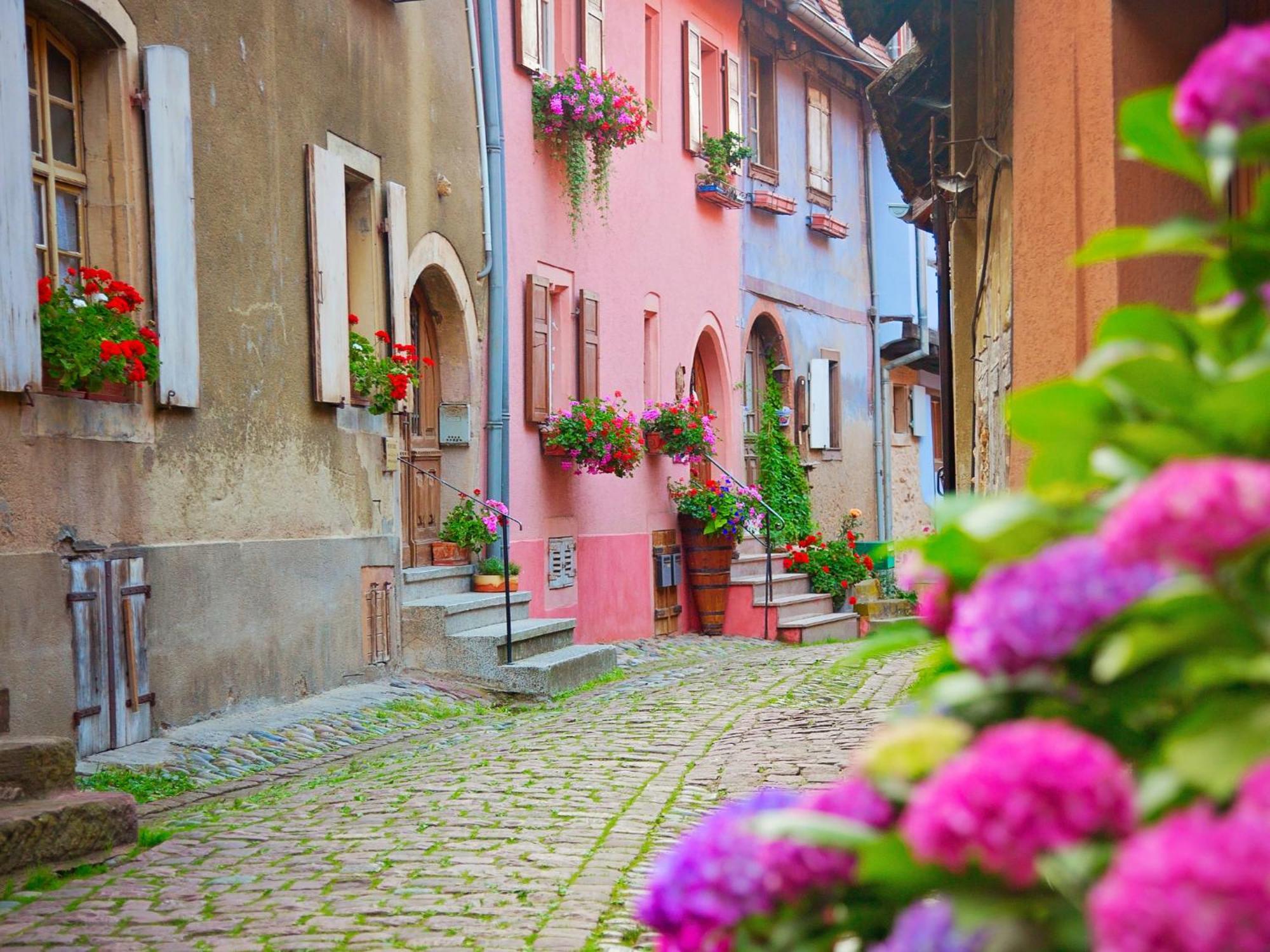 L'Atypique D'Eguisheim Apartment Exterior foto